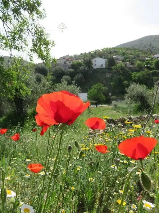 El Marques, Magnifica Casa Rural Con Piscina Almeria 0*,